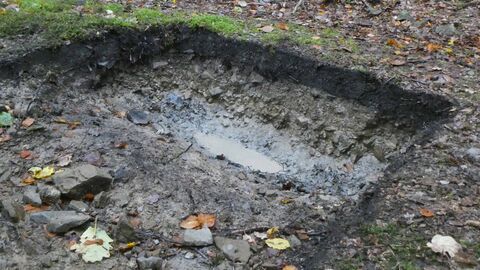 Foto einer Köhlerplatte
