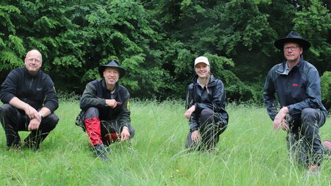 4 Personen in Outdoorkleidung knien im hohen Gras und lächen in die Kamera, im Hintergrund ist ein Waldrand zu erkennen.