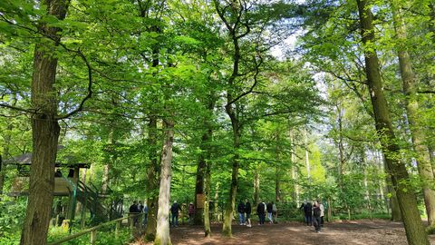Grünes Laub an den Bäumen leuchtet im Sonnenlicht. Am Zaun zum Luchsgehege stehen mehrere Leute und warten auf die Fütterung.