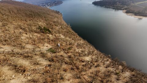 Auto steht im Wald an einem Hang