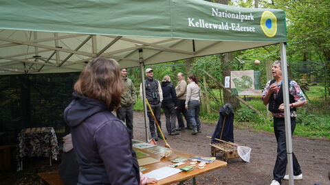 Unter einem grünen Zeltdach mit Nationalpark-Aufdruck stehen Personen, die einem Gaukler, der mit 2 Bällen und einem Apfel jongliert, zuschauen.