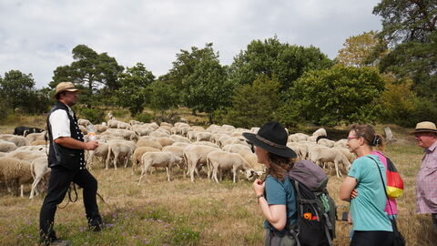 Ein Schäfer mit Schafherde und Wandernden mit Rangern stehen an einem Hügel.