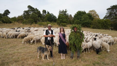 Ein Schäfer mit Schäferhund, eine junge Frau im Kleid mit lilafarbener Schärpe und ein Mann, der vor lauter Zweigen einen Wacholderstrauchs nicht zu erkennen ist, stehen vor einer Herde aus hauptsächlich beige-farbenen Schafen und Ziegen.