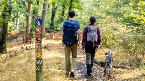 Zwei Personen wandern mit einem Hund durch den Wald